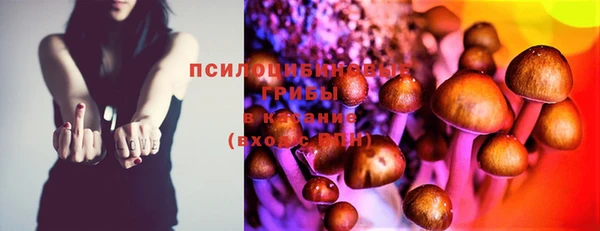 стафф Абдулино